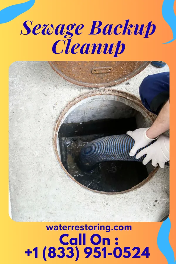 Sewage Backup Cleanup in Marvin, SD